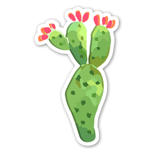Cacto