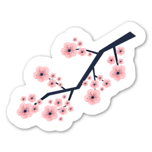 Sakura do Japão, 5 cores de flor