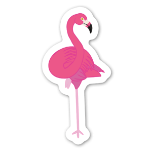 Os Flamingos das Caraíbas, ou americanos, são a segunda maior espécie de Flamingos atrás do Grande.